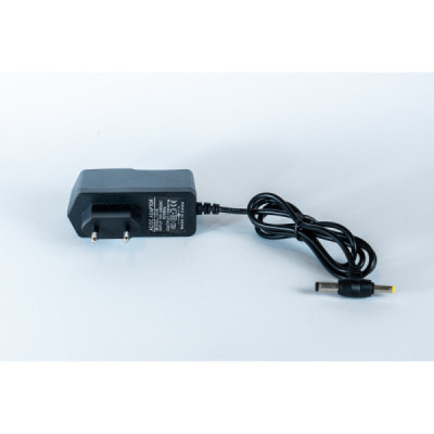 12V 1A