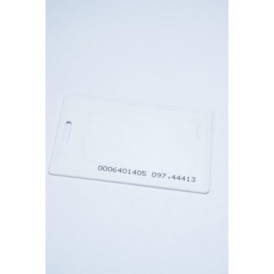 MANGO MAGNITEC CARD