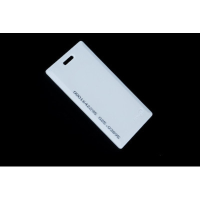 MANGO MAGNITEC CARD