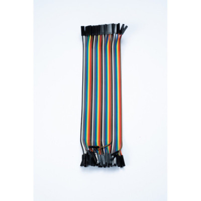 20Cm Female to Female 40 Jumper Set Connecting Wire