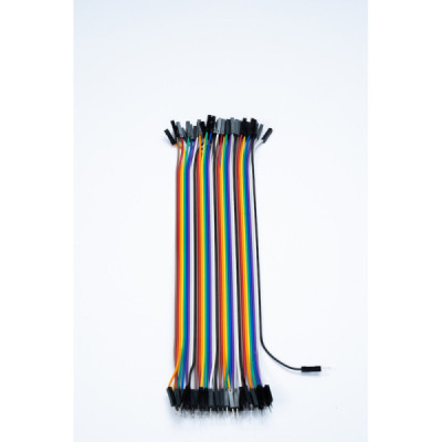20Cm Female to Male 40 Jumper Set Connecting Wire