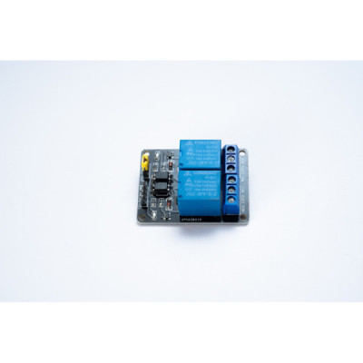 RELAY MODULE 2 CHANNEL